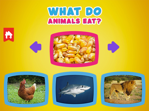 What do animals eat Oyunu Oyna